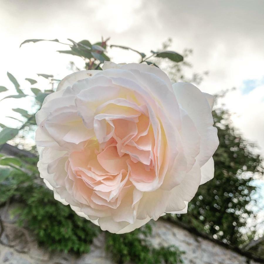 L'echappée Belle